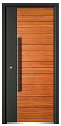 Puerta exterior de seguridad 2color
