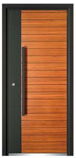 Puerta exterior de seguridad 2color
